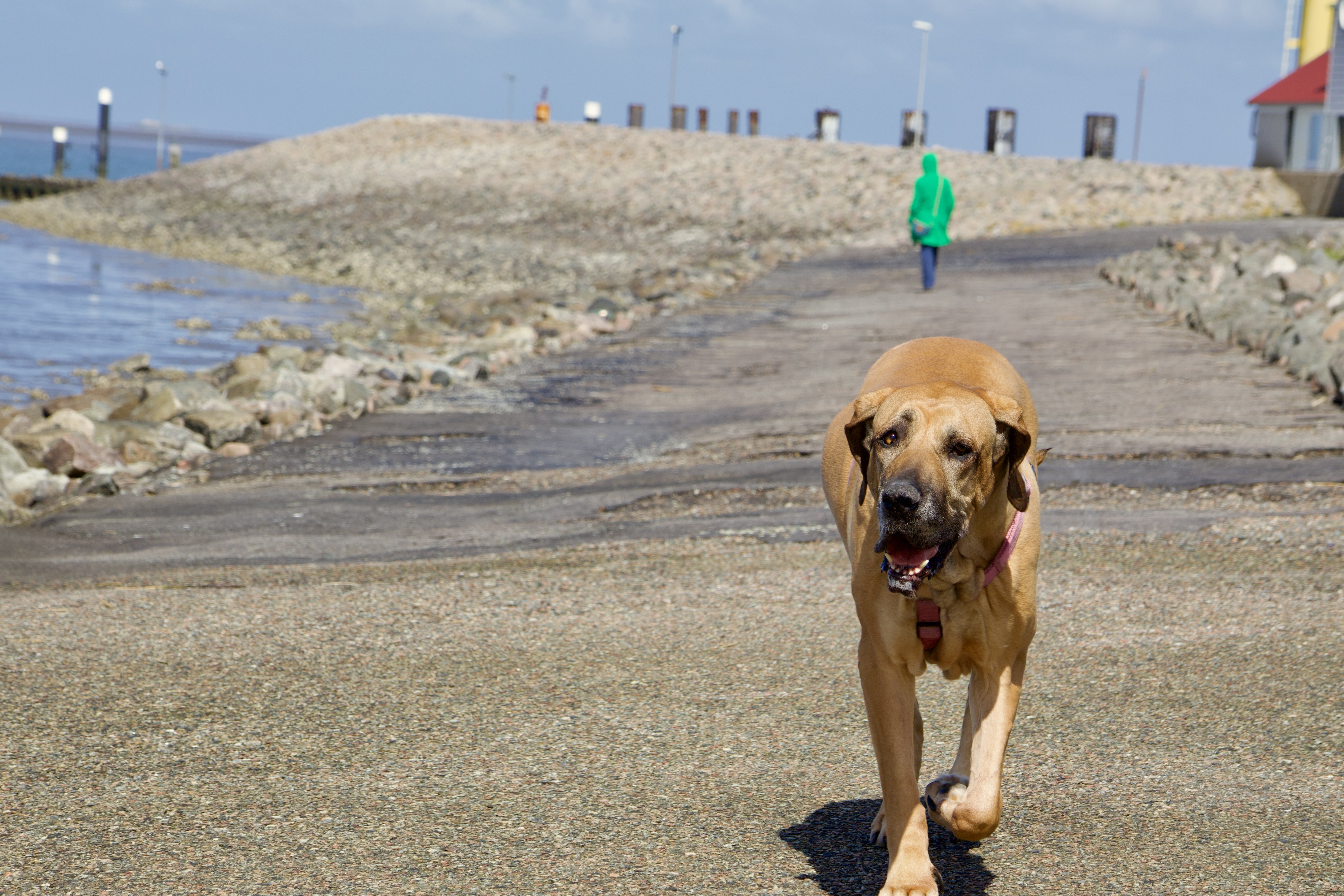 Hunde/IMG_3581.jpeg