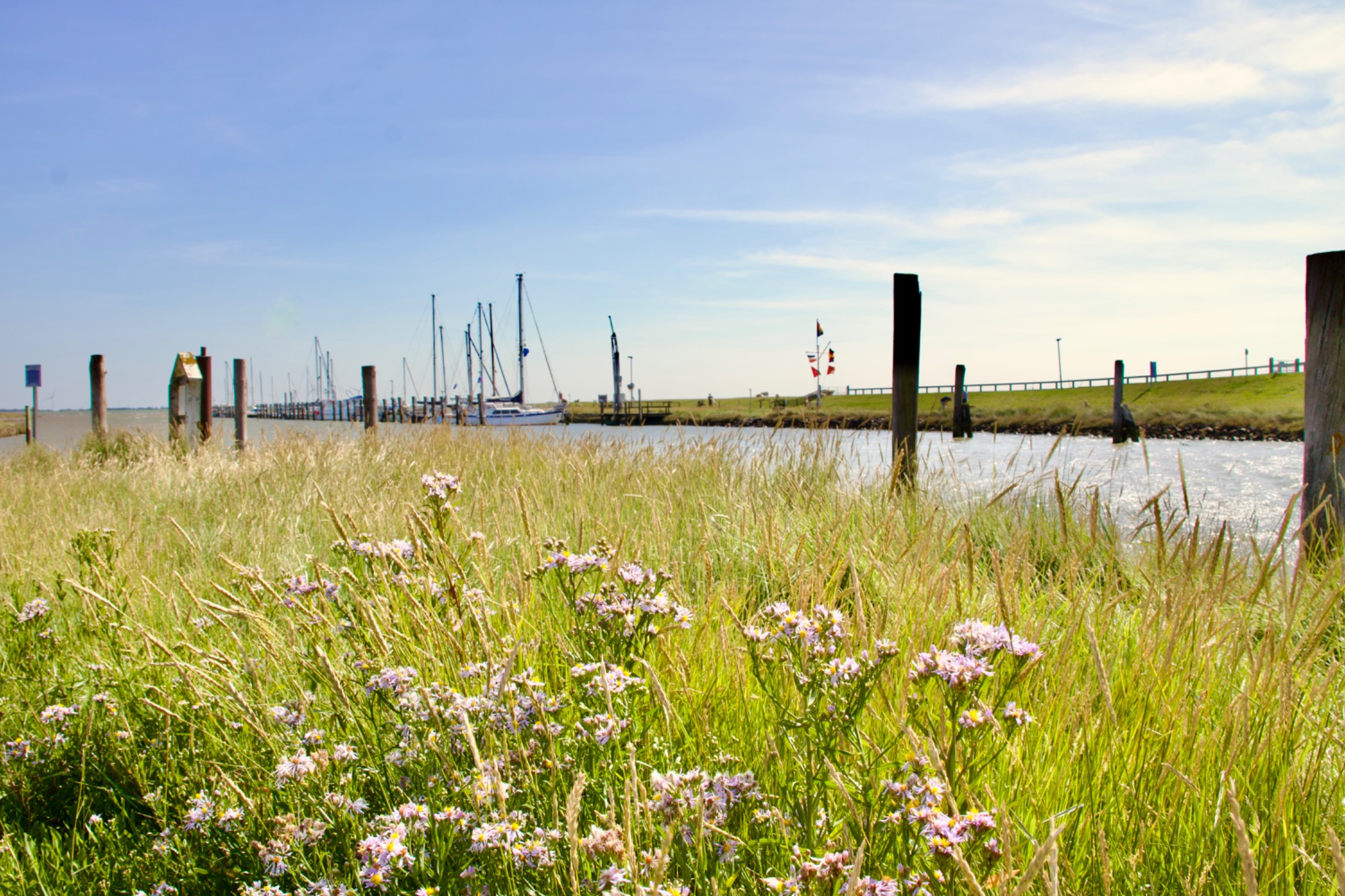 Landschaft/IMG_9460.jpeg